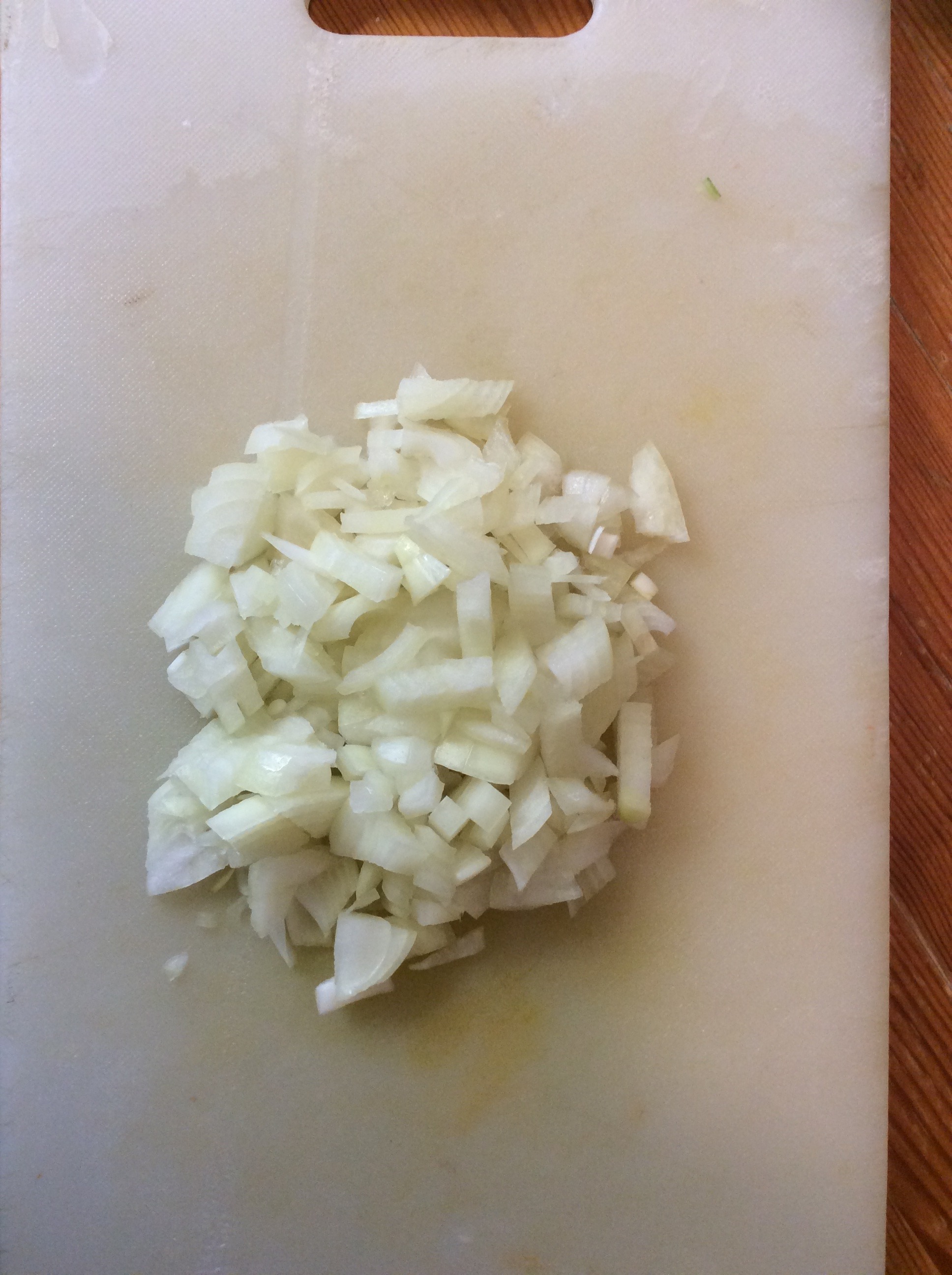 diced onion.JPG