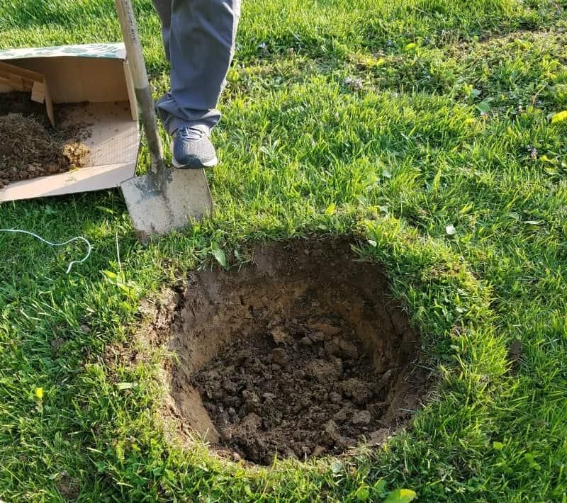 digging-tree-hole.jpg
