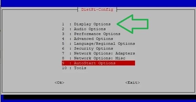 display options.jpg