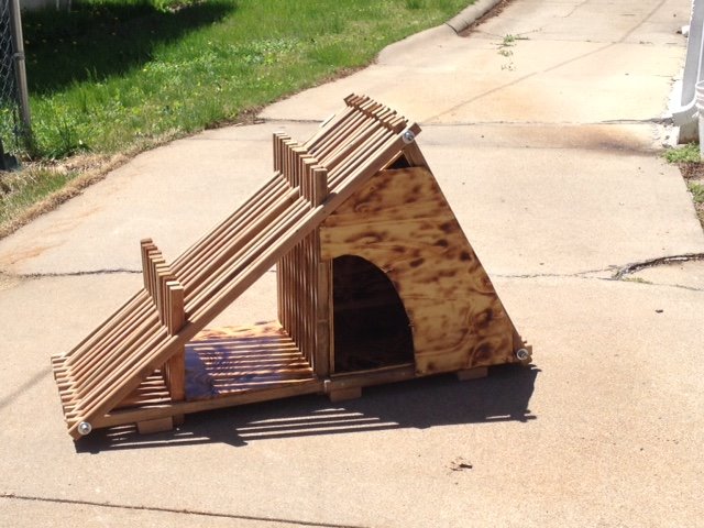 dog house.jpg