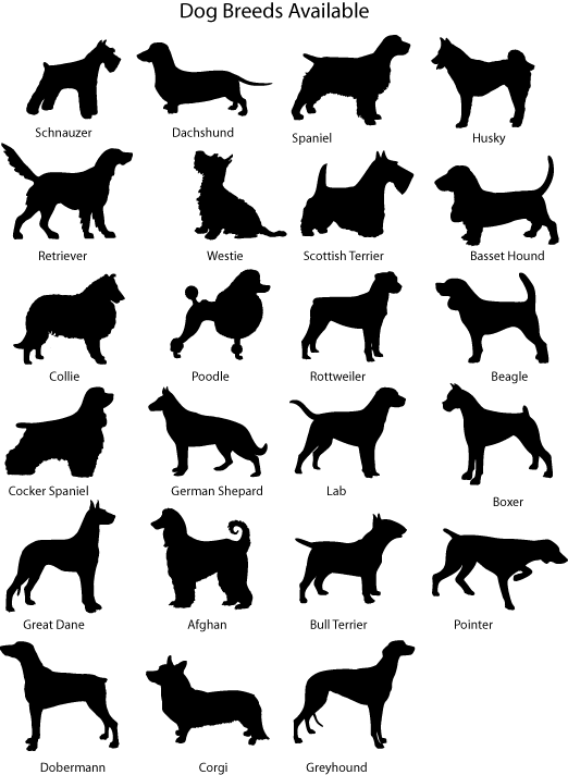 dog-breeds.gif