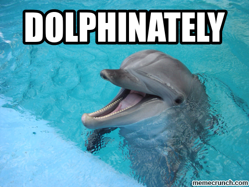 dolphinately.png