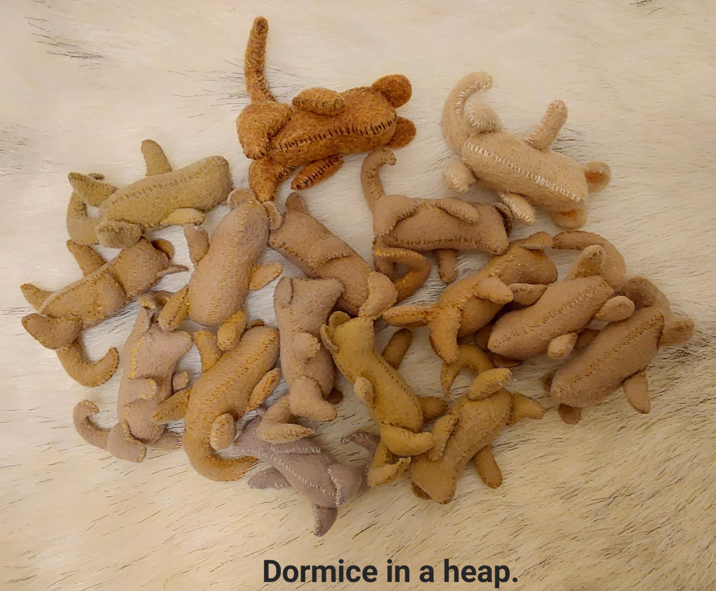 dormice in a heap.jpg