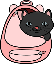 download (16).png