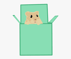 download (17).png