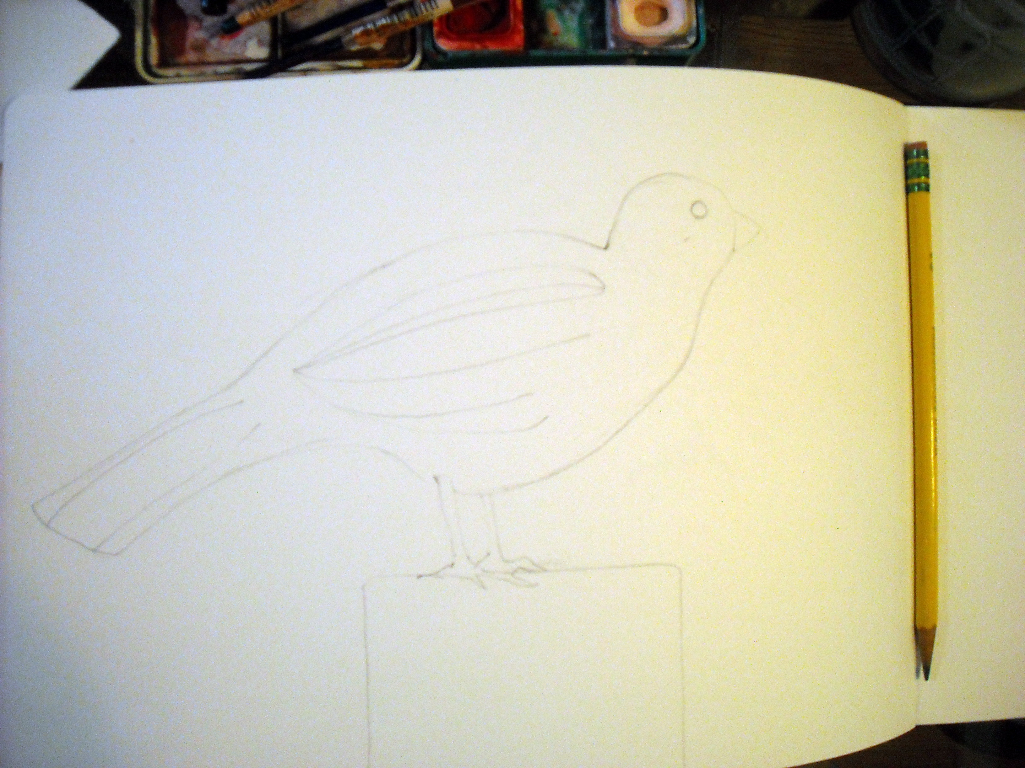 draw.JPG