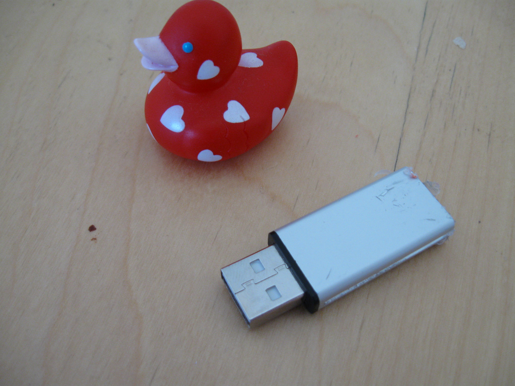 duck-usb1.jpg