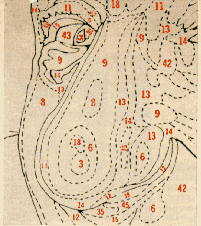 durantepix1.gif
