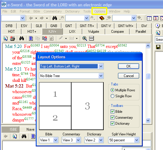 e-sword layout options.bmp