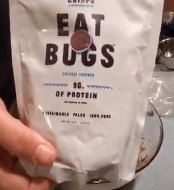 eat bugs.JPG