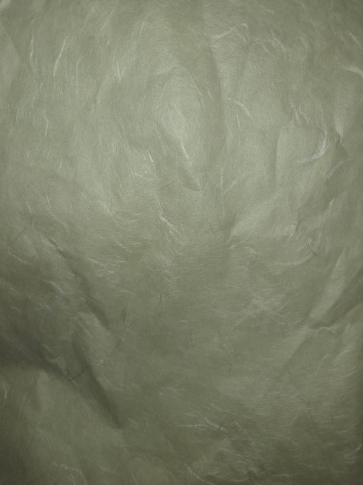 eb4910f0-f773-4b44-ba47-68c5a82bad9b.jpeg