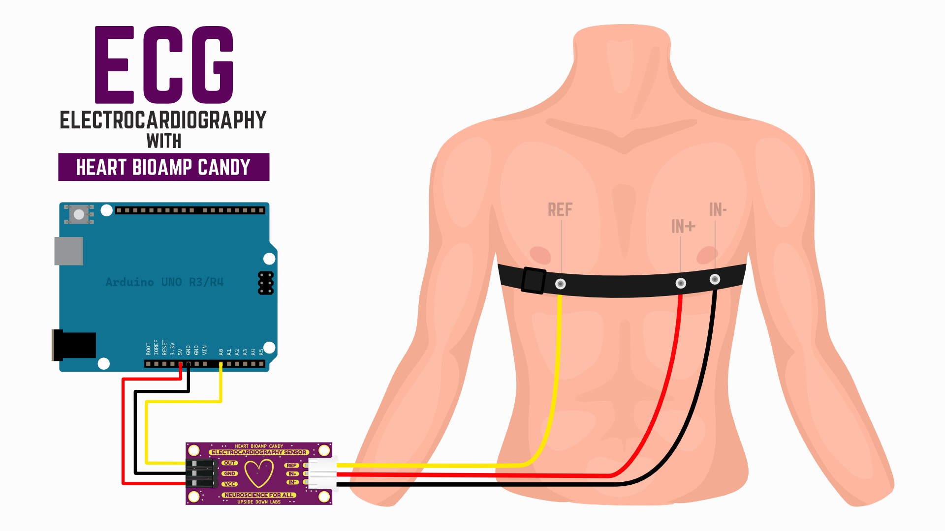 ecg-using-band.png