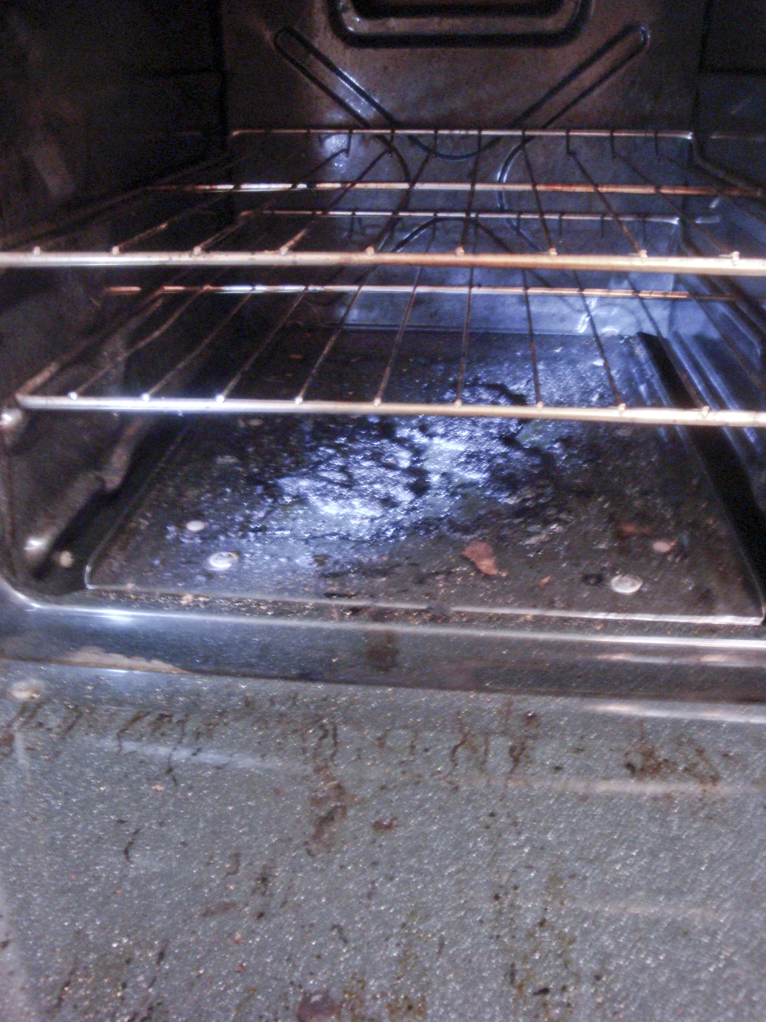 eco-clean oven02.jpg