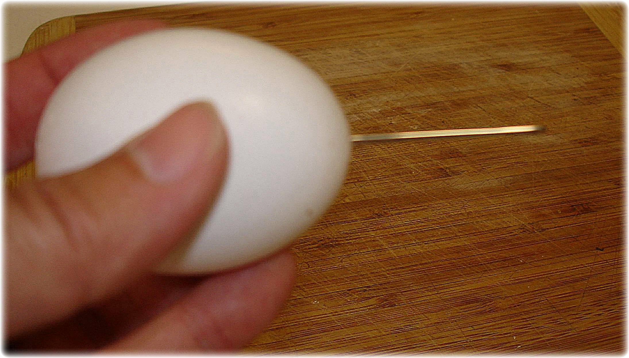 egg 004.jpg