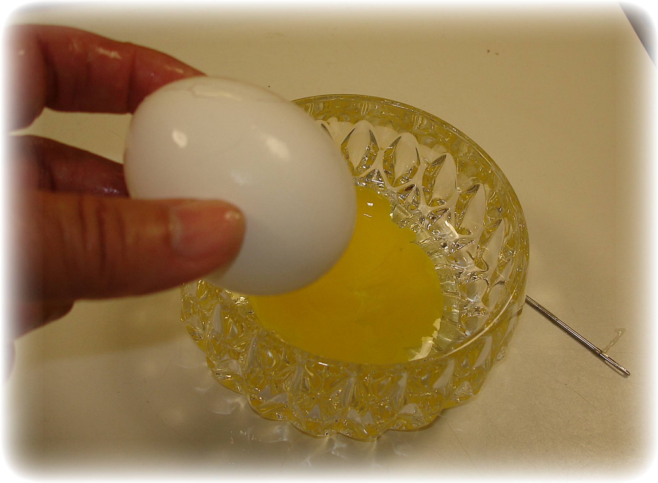 egg 005.jpg
