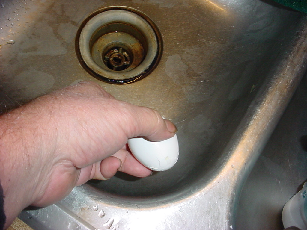 egg salad 003.jpg