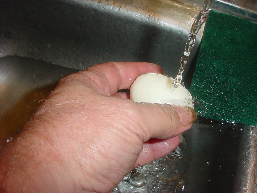 egg salad 005.jpg