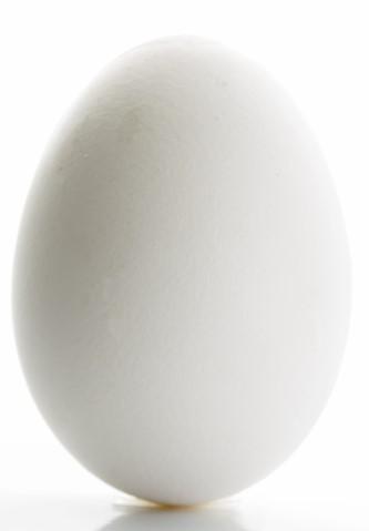 egg.jpg