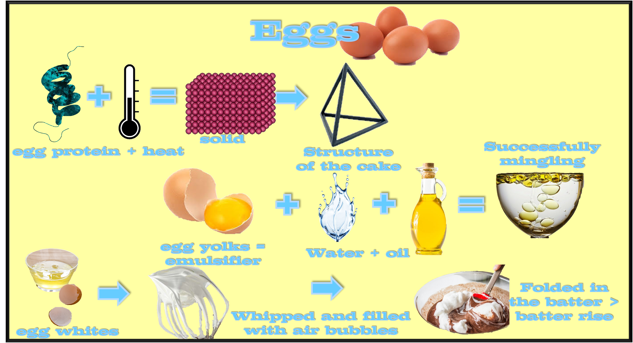 eggs.png