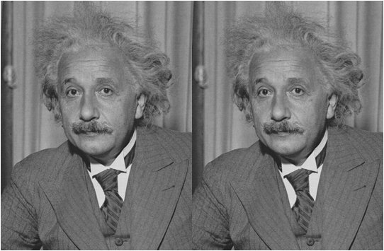 einstein2.jpg