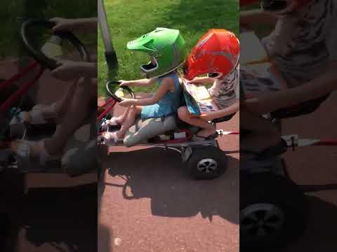 electric cart with groceries trailer