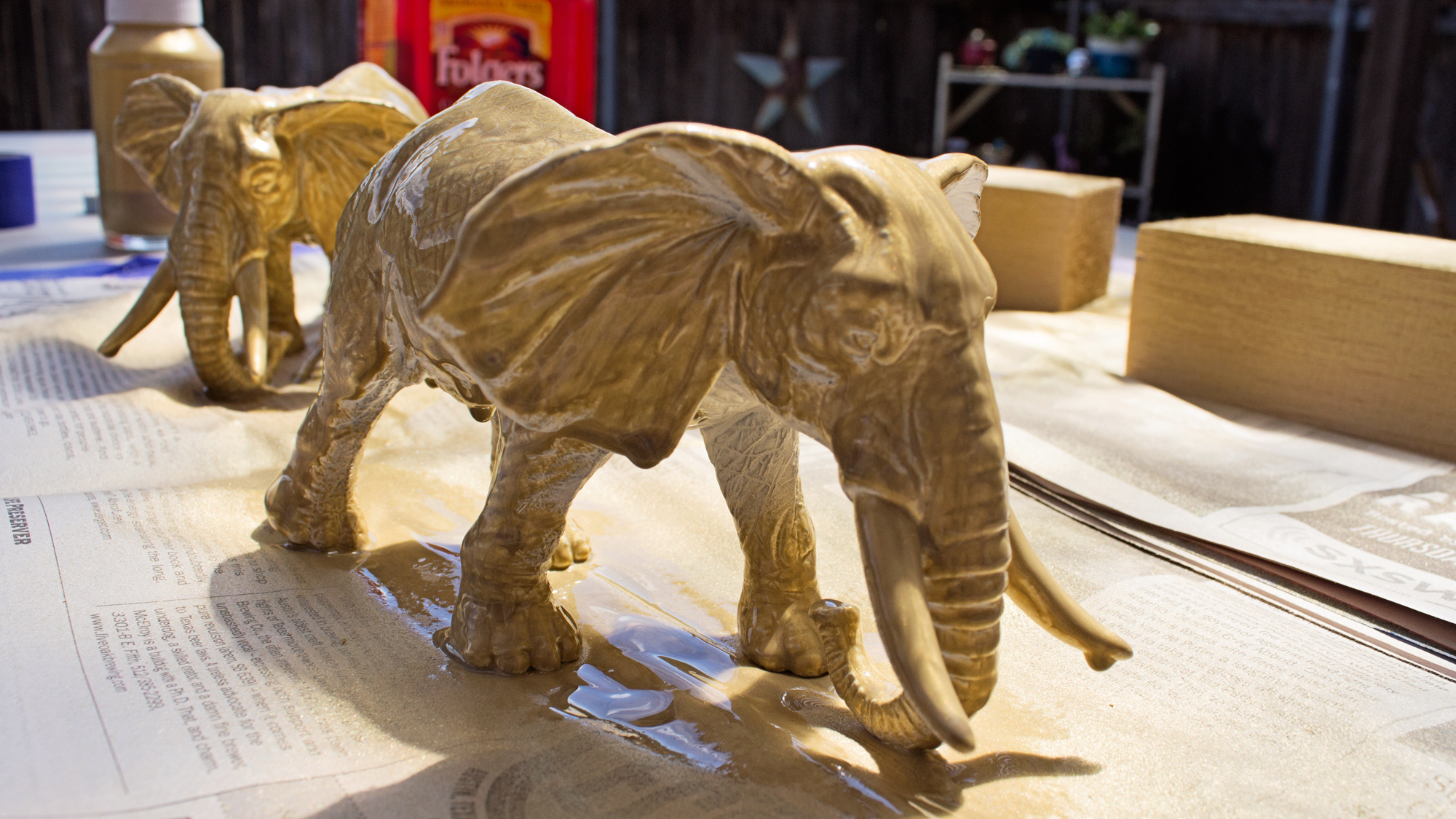 elephants.jpg