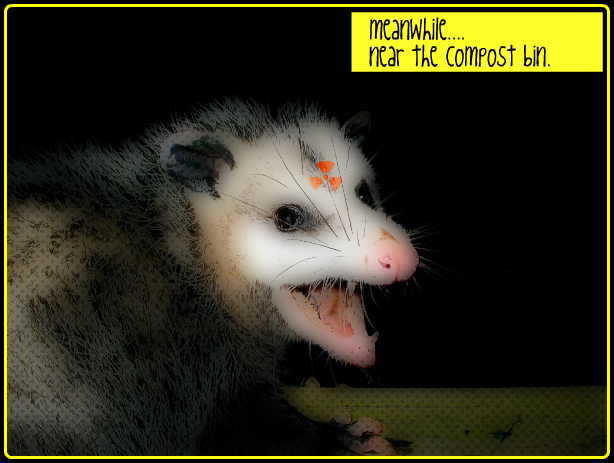 evil-possum-1.jpg