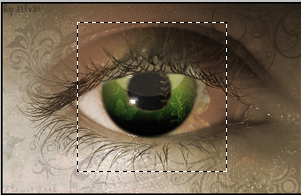 eye 2.jpg