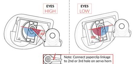 eyes angle.jpg