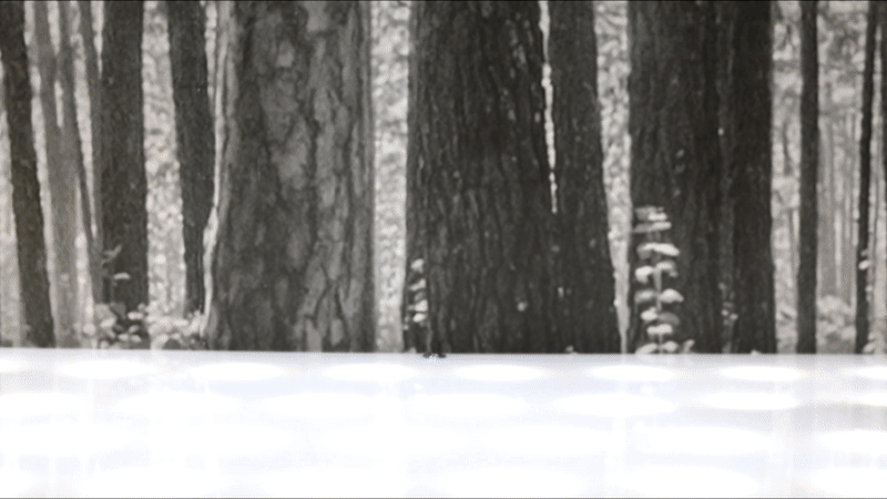 ezgif-4-2d12de85fc.gif