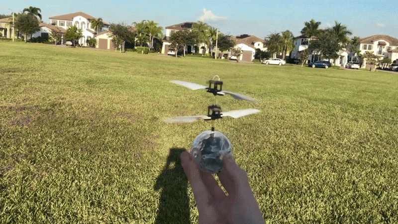 ezgif-71169a33406c8333.gif