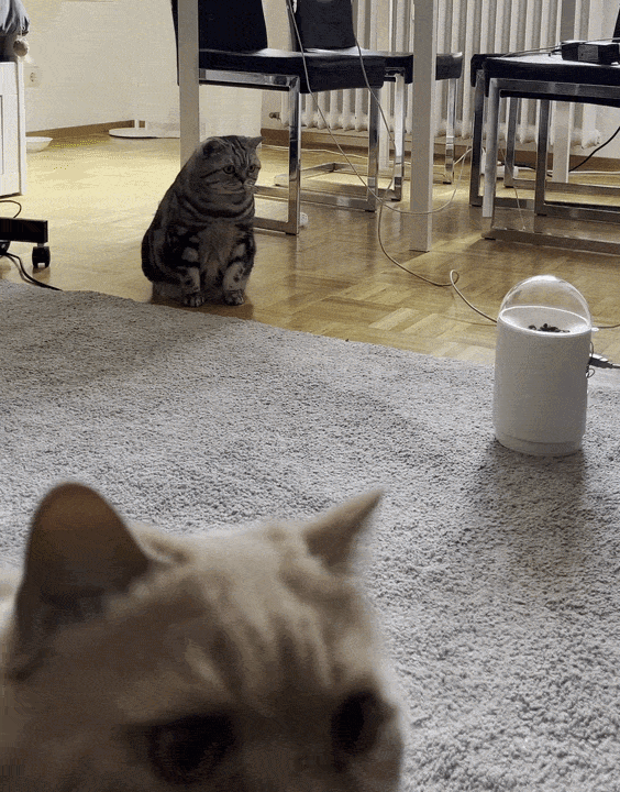 ezgif-8711c3cbc538c404.gif