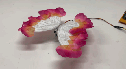 ezgif.com-resize (1).gif