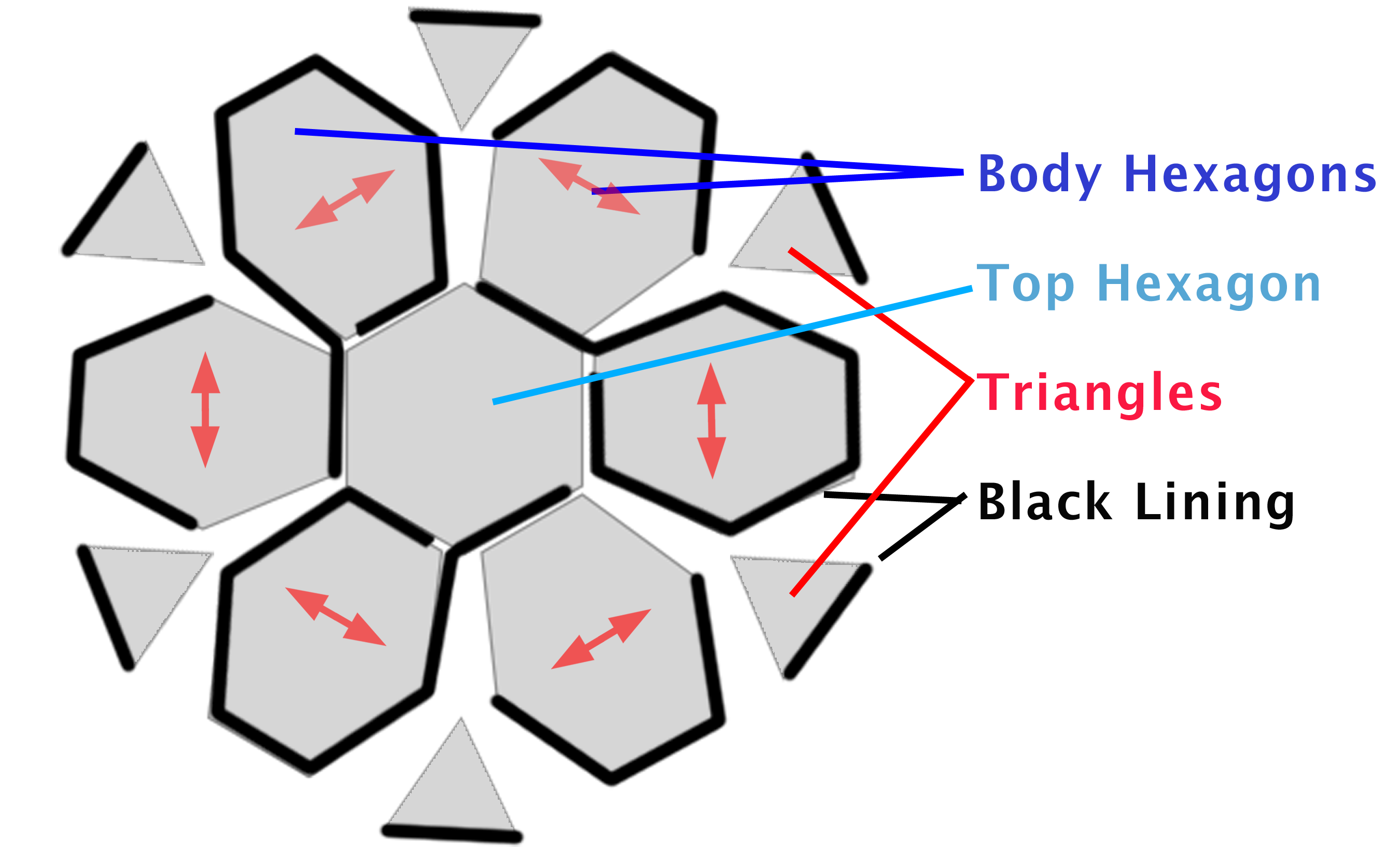 fabric layout.png