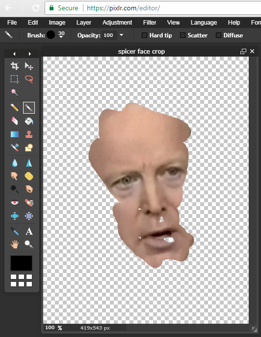 face extraction layer mask.PNG