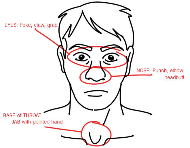 facediagram.jpg