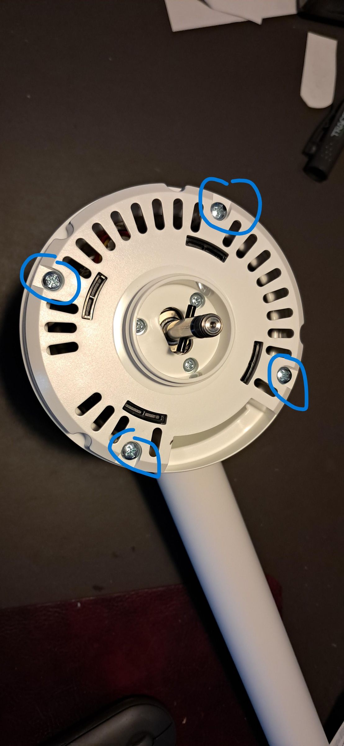 fan01.jpg