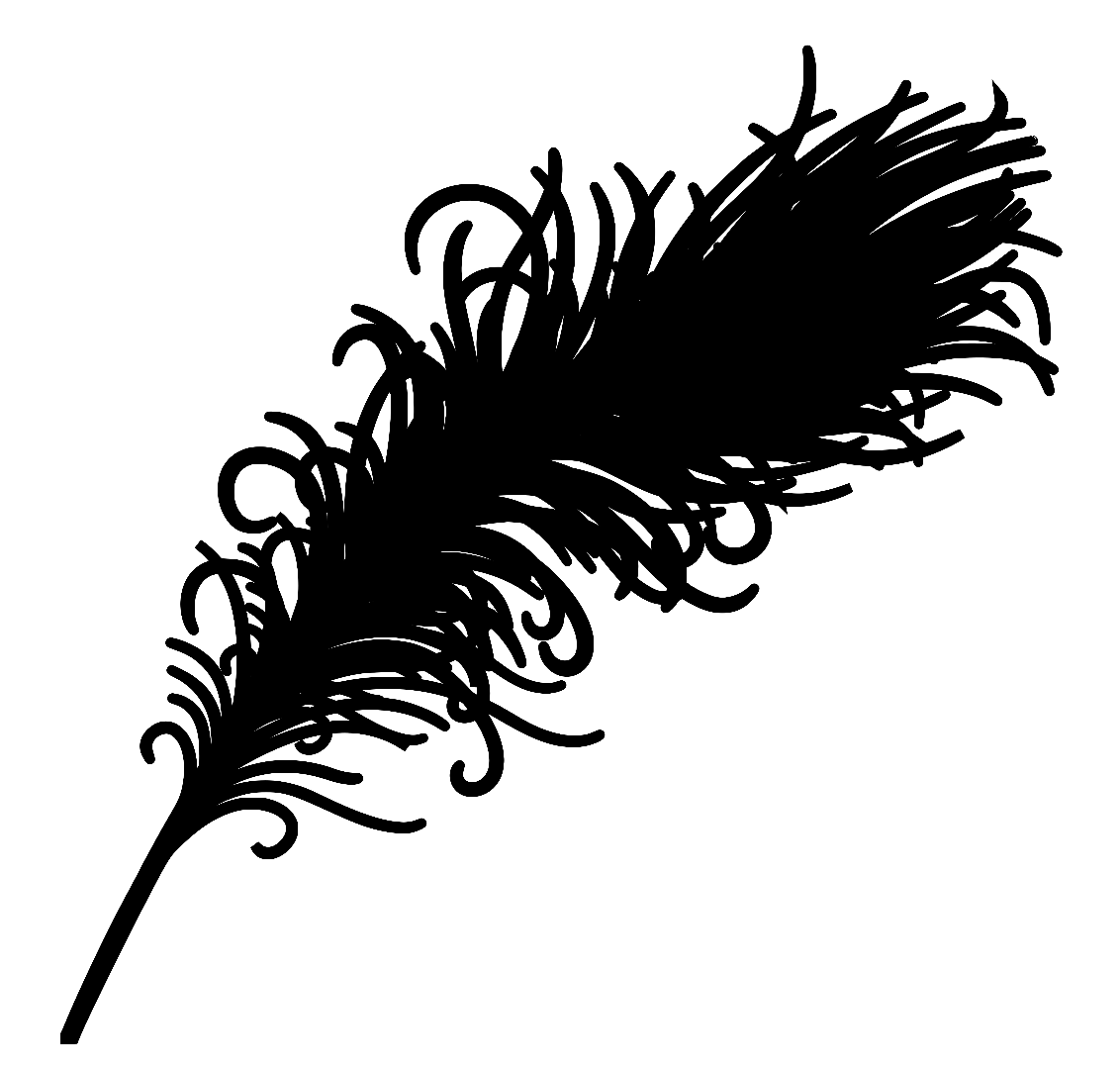 feather.png