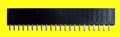 female-header-strip.jpg