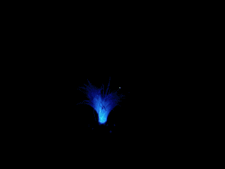 fibreopticlight1.gif