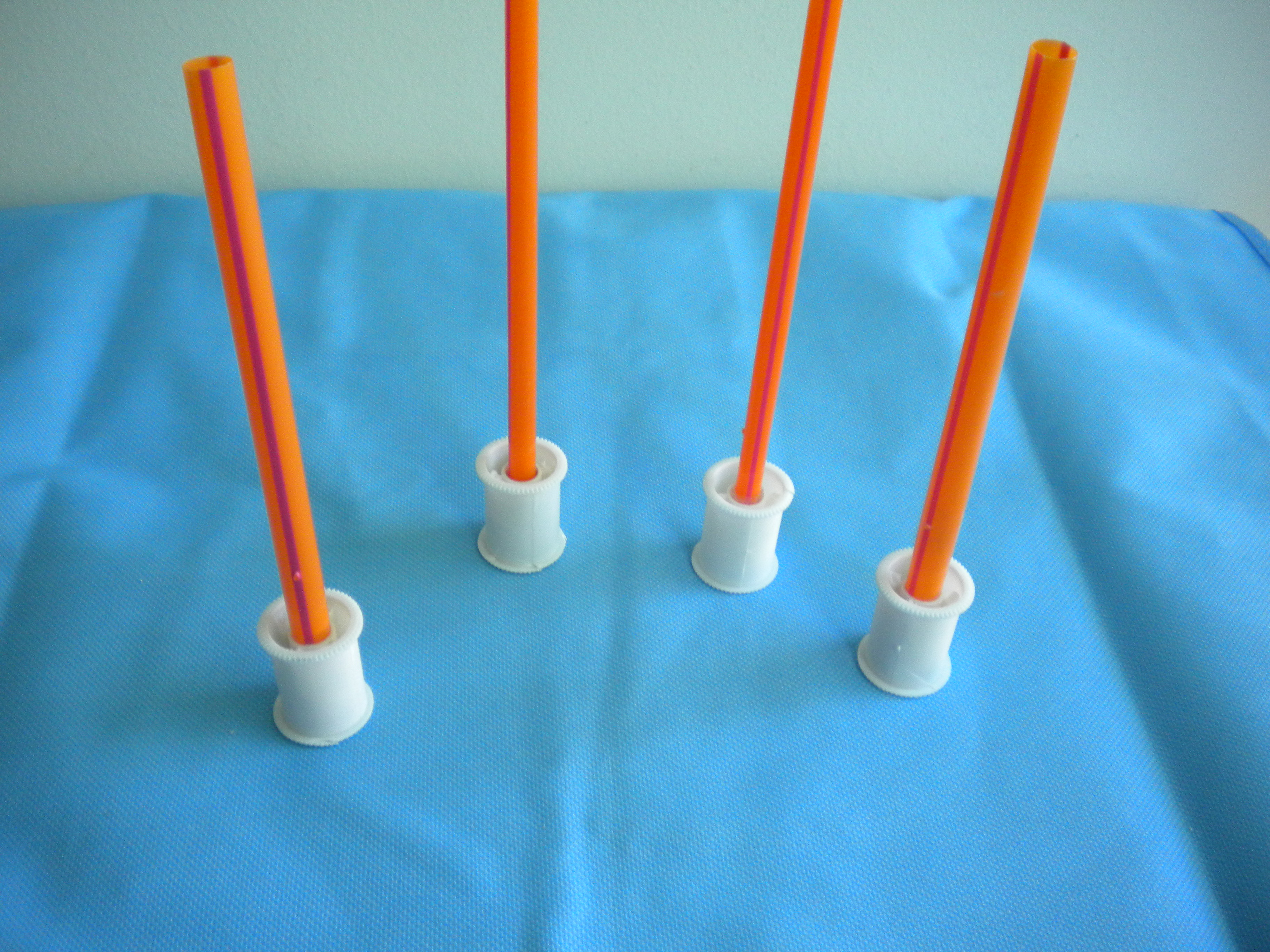 fig 8c.JPG