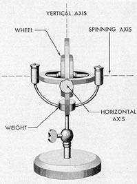 fig17-11.jpg