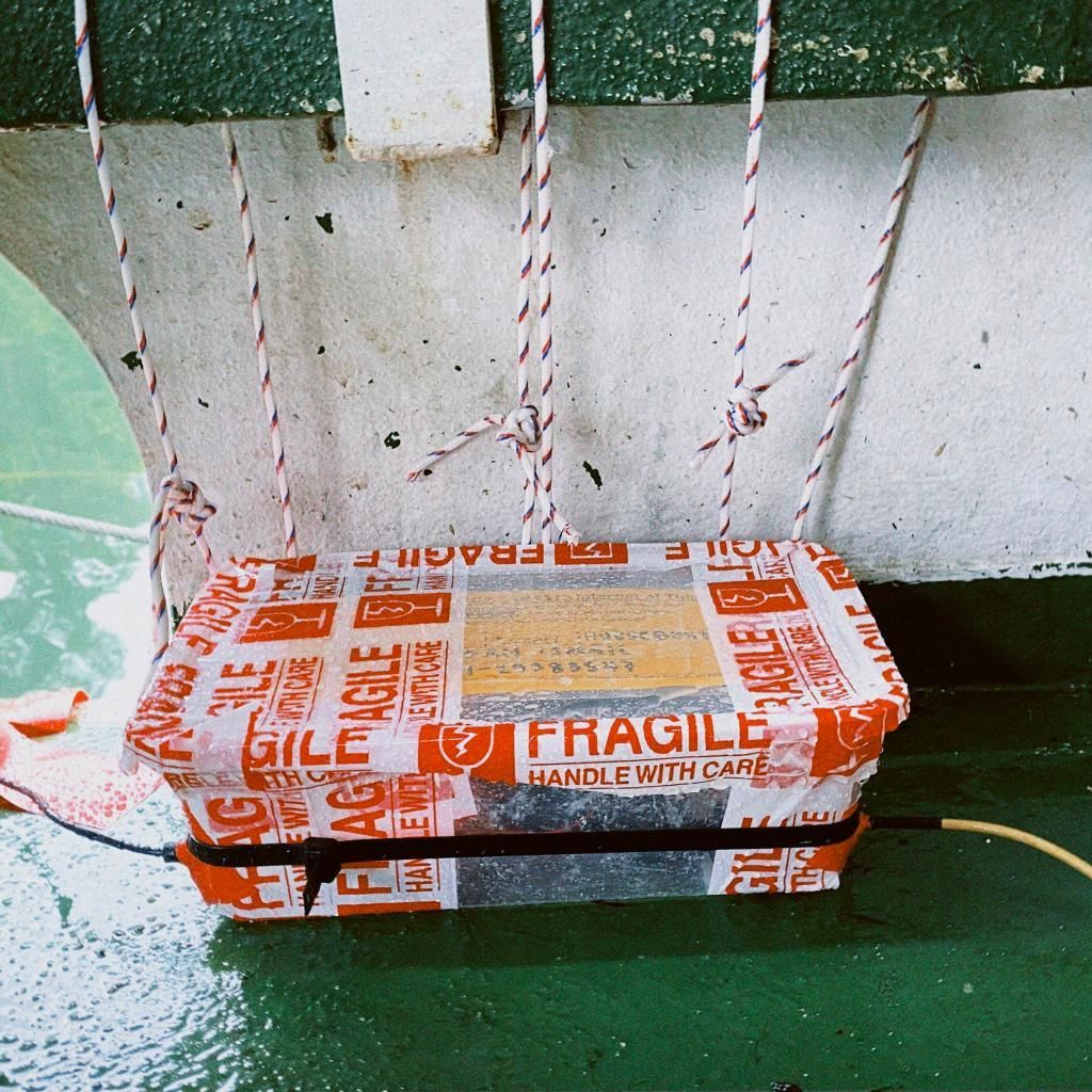 finished sensor.jpg