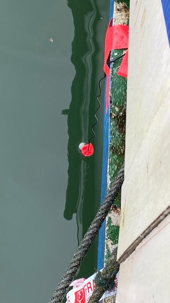 finished sensor2.jpg