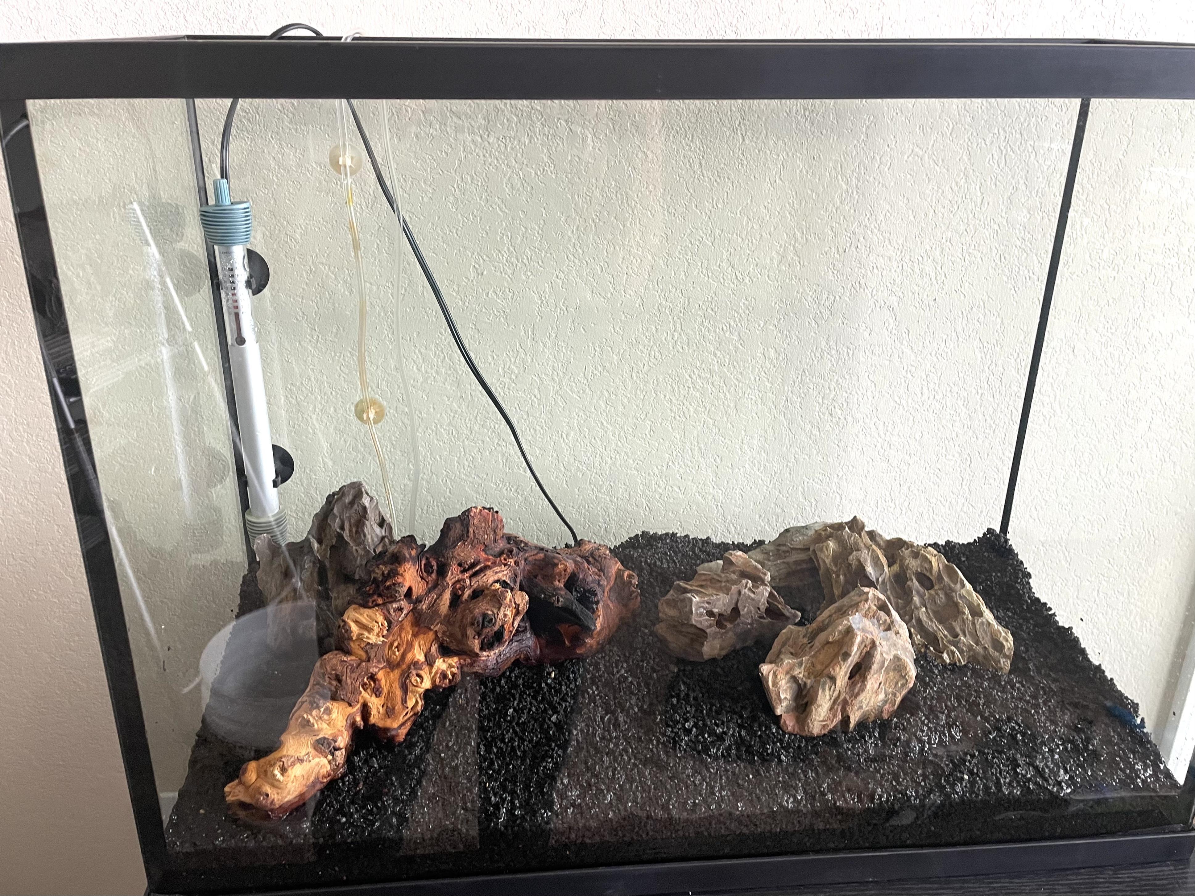 fish tank_19.jpg
