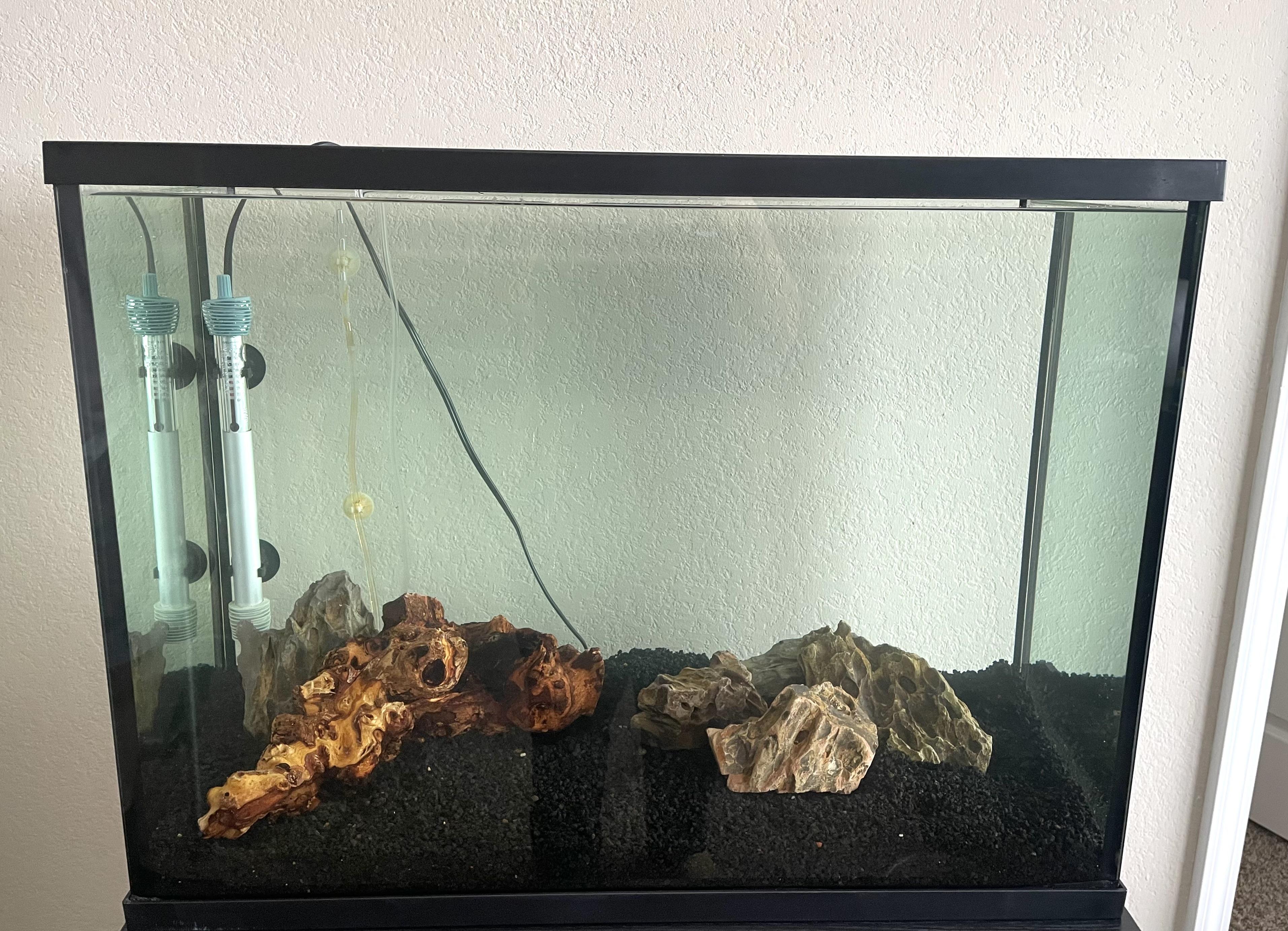 fish tank_20.jpg
