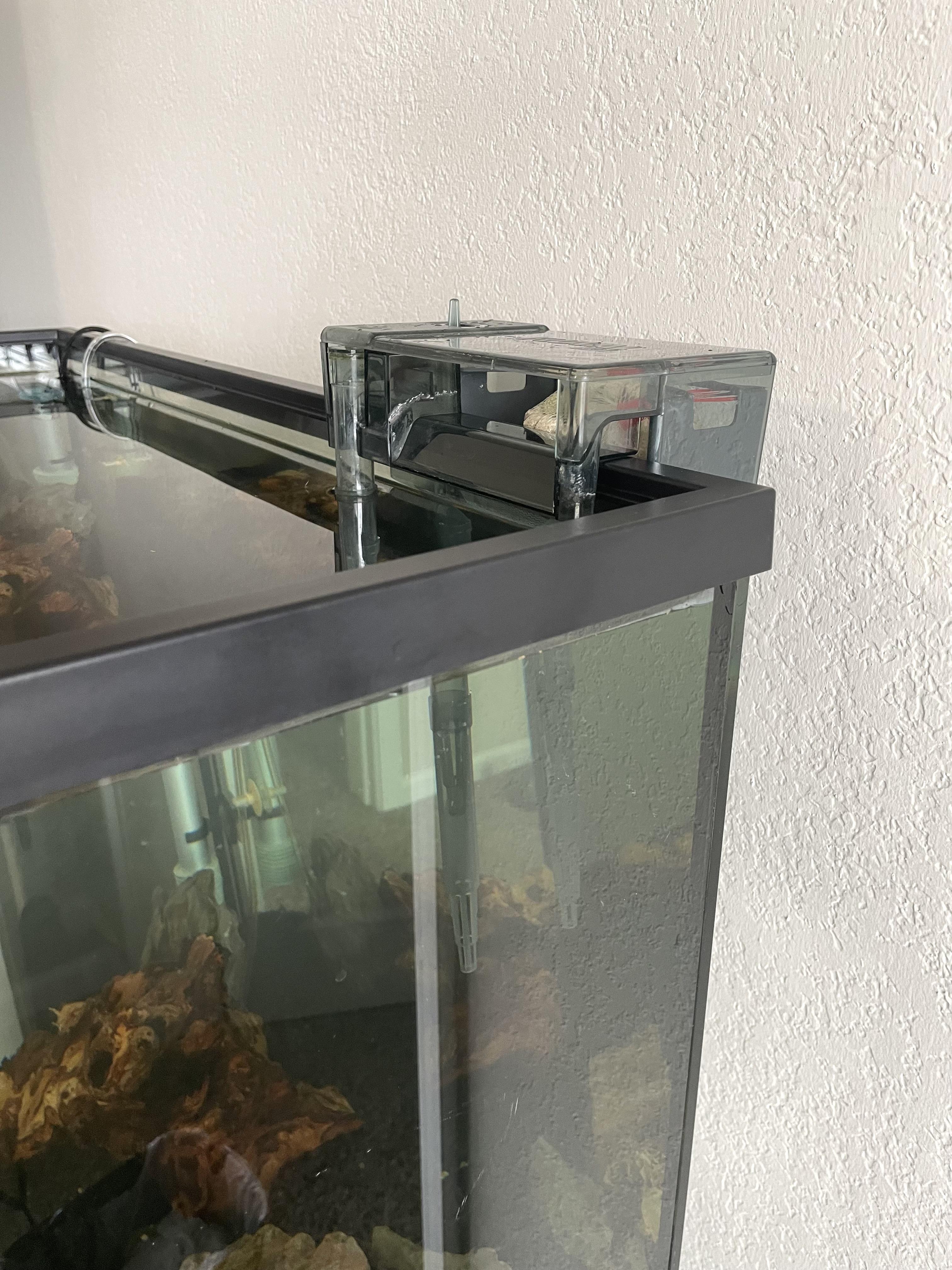 fish tank_24.jpg
