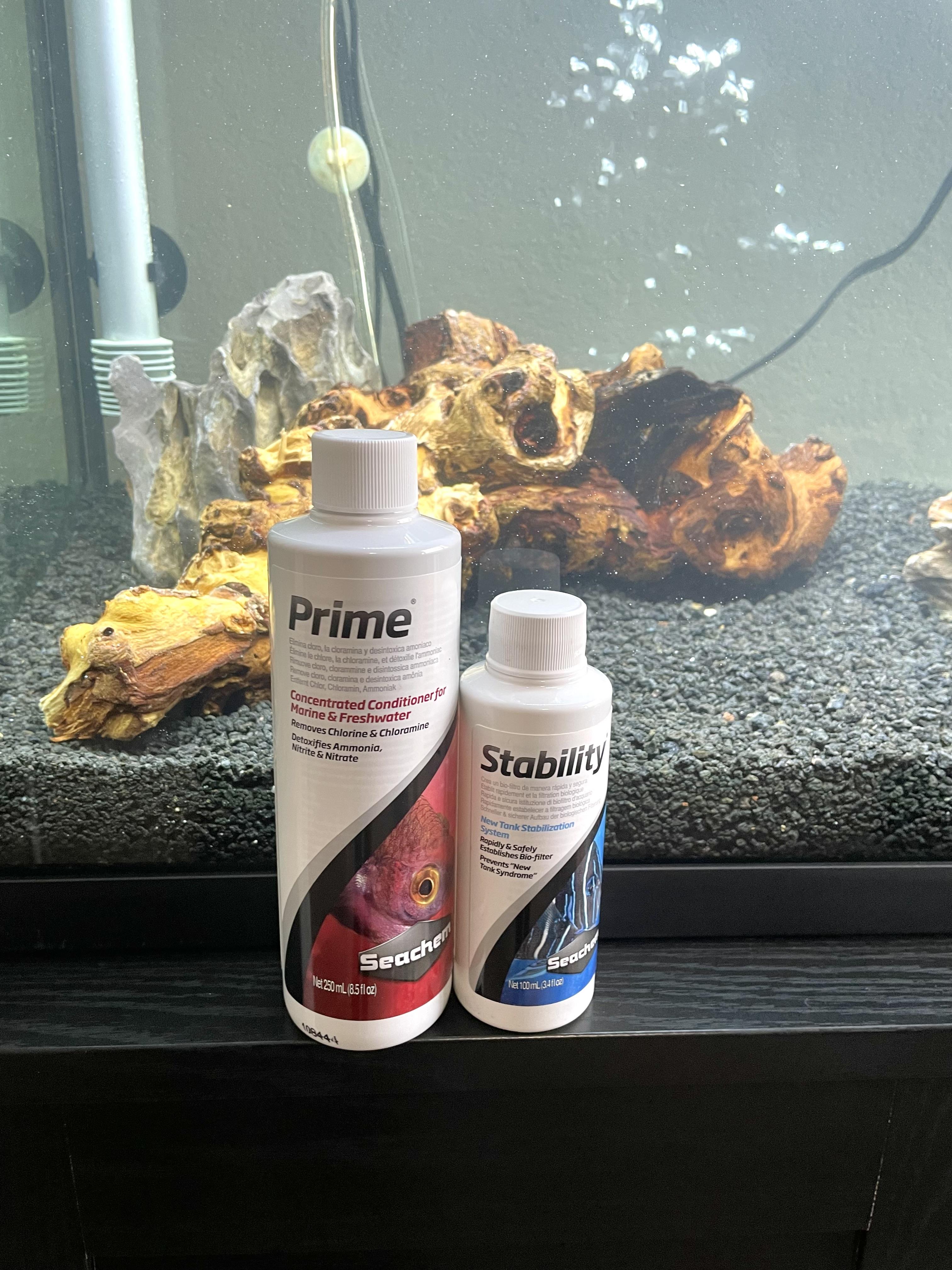 fish tank_27.jpg