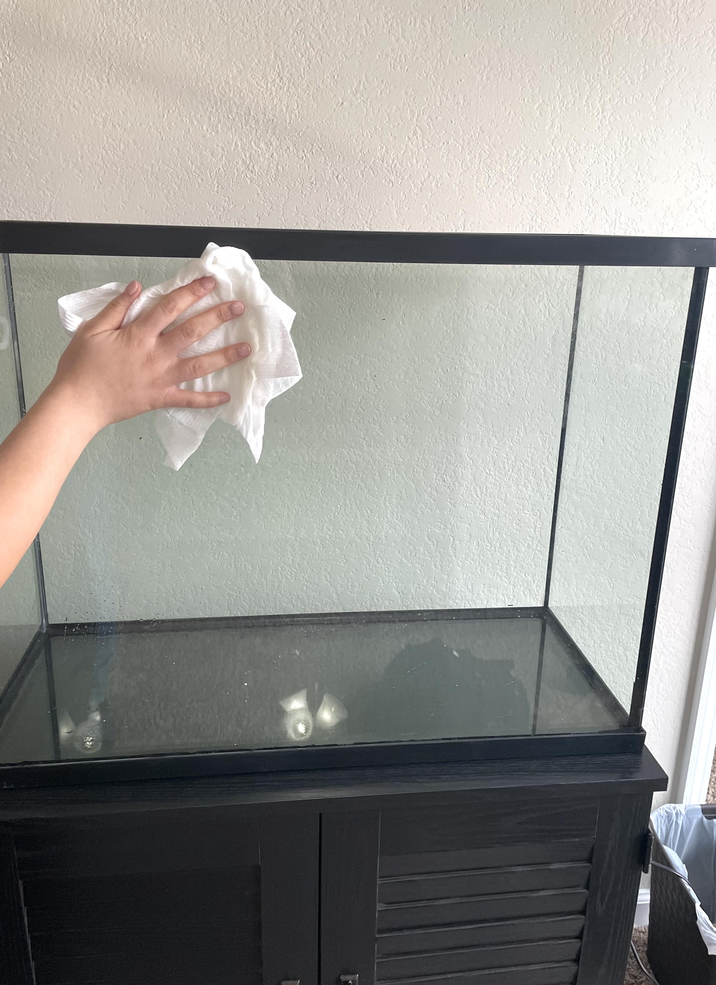 fish tank_3.jpg