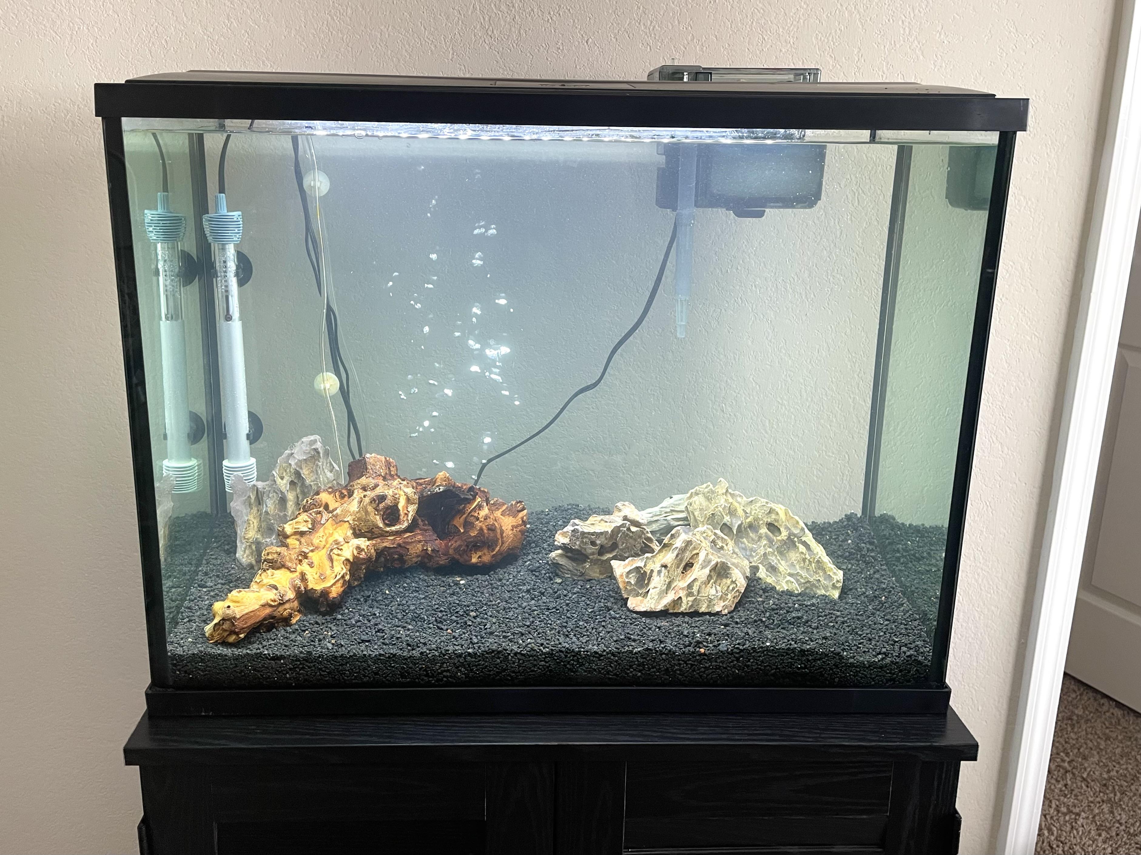 fish tank_30.jpg